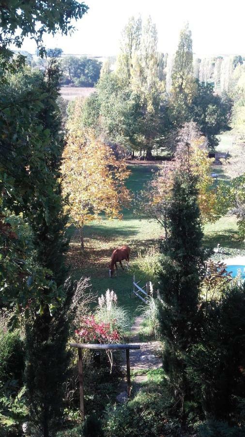 Le Peyrail Bed & Breakfast Les Lèves-et-Thoumeyragues Екстериор снимка